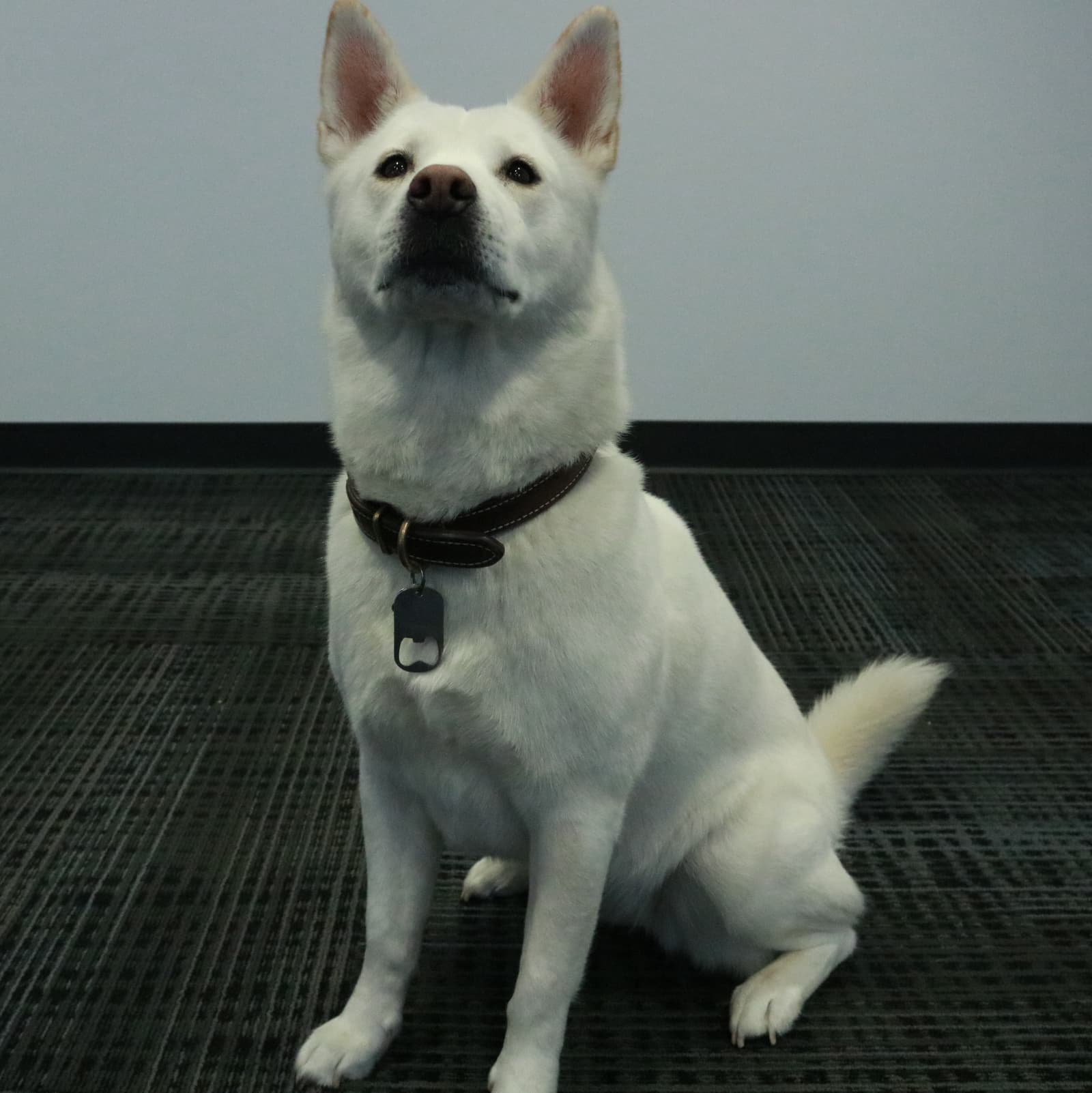 DeskPortraitC_01.jpg