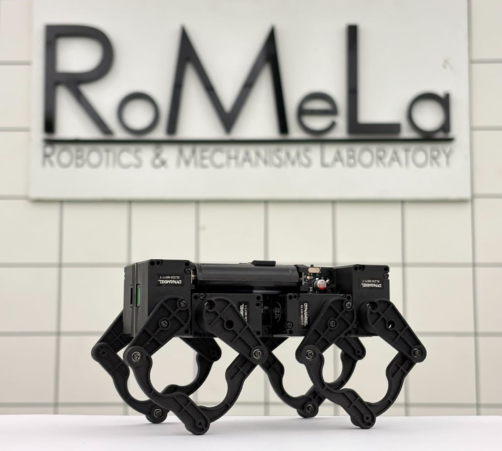 Q8bot_RoMeLa.jpg