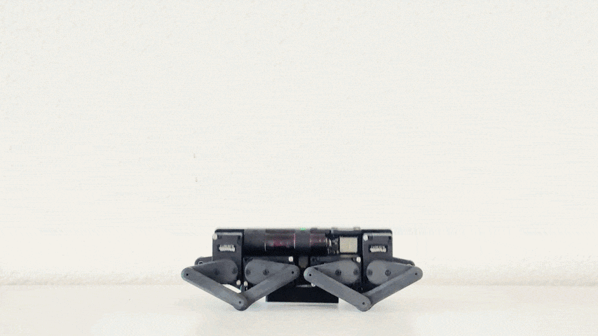 ShortforGIF-ezgif.com-optimize.gif