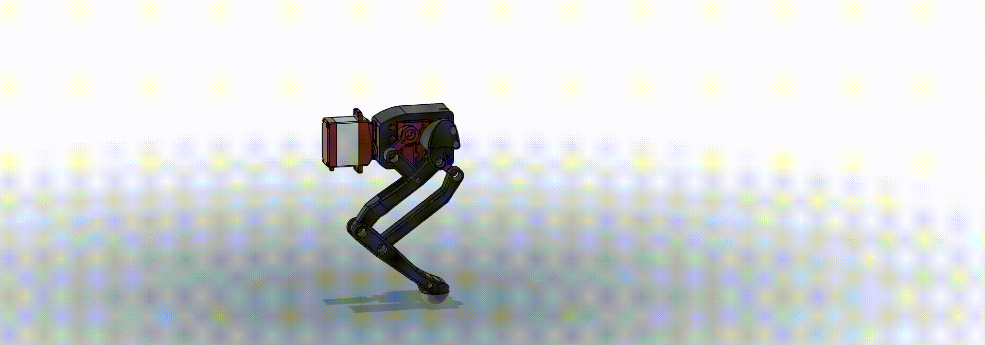 FULL_LEG.gif