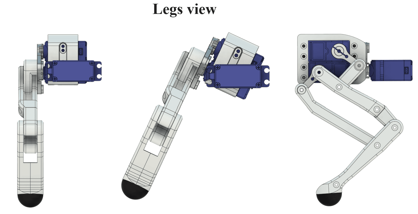 legs_view.png