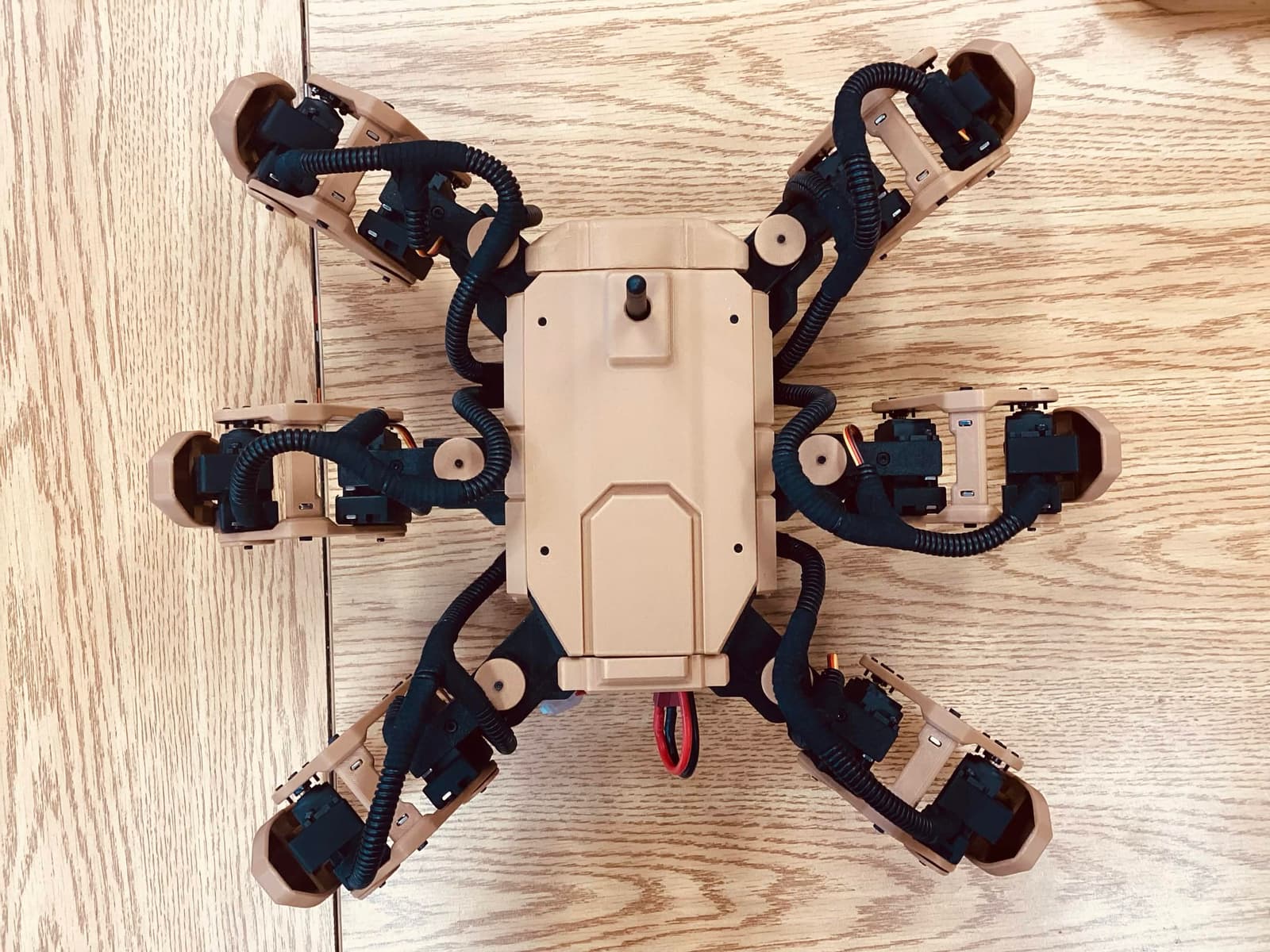 hexapod_top.jpg