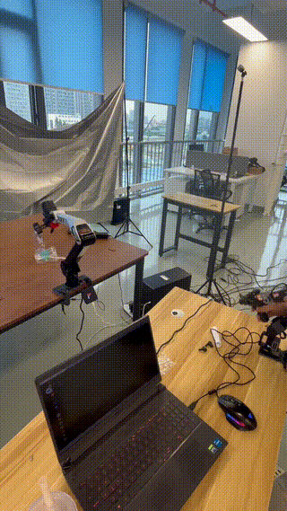 Arx.gif