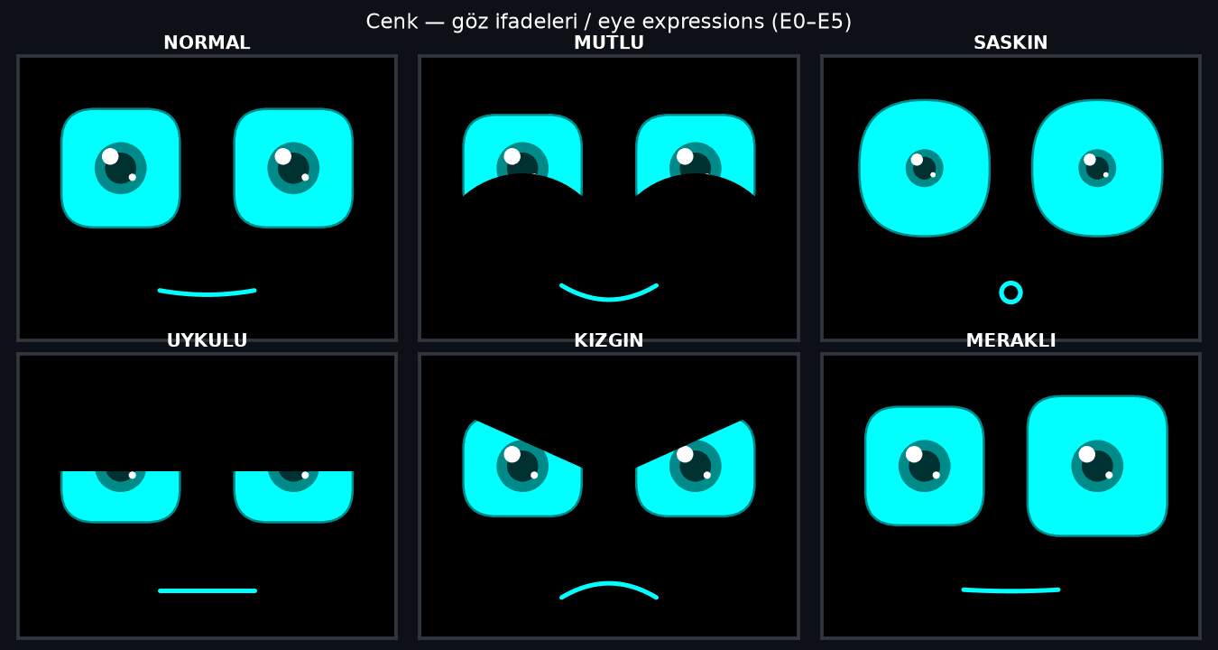 eye_expressions.png