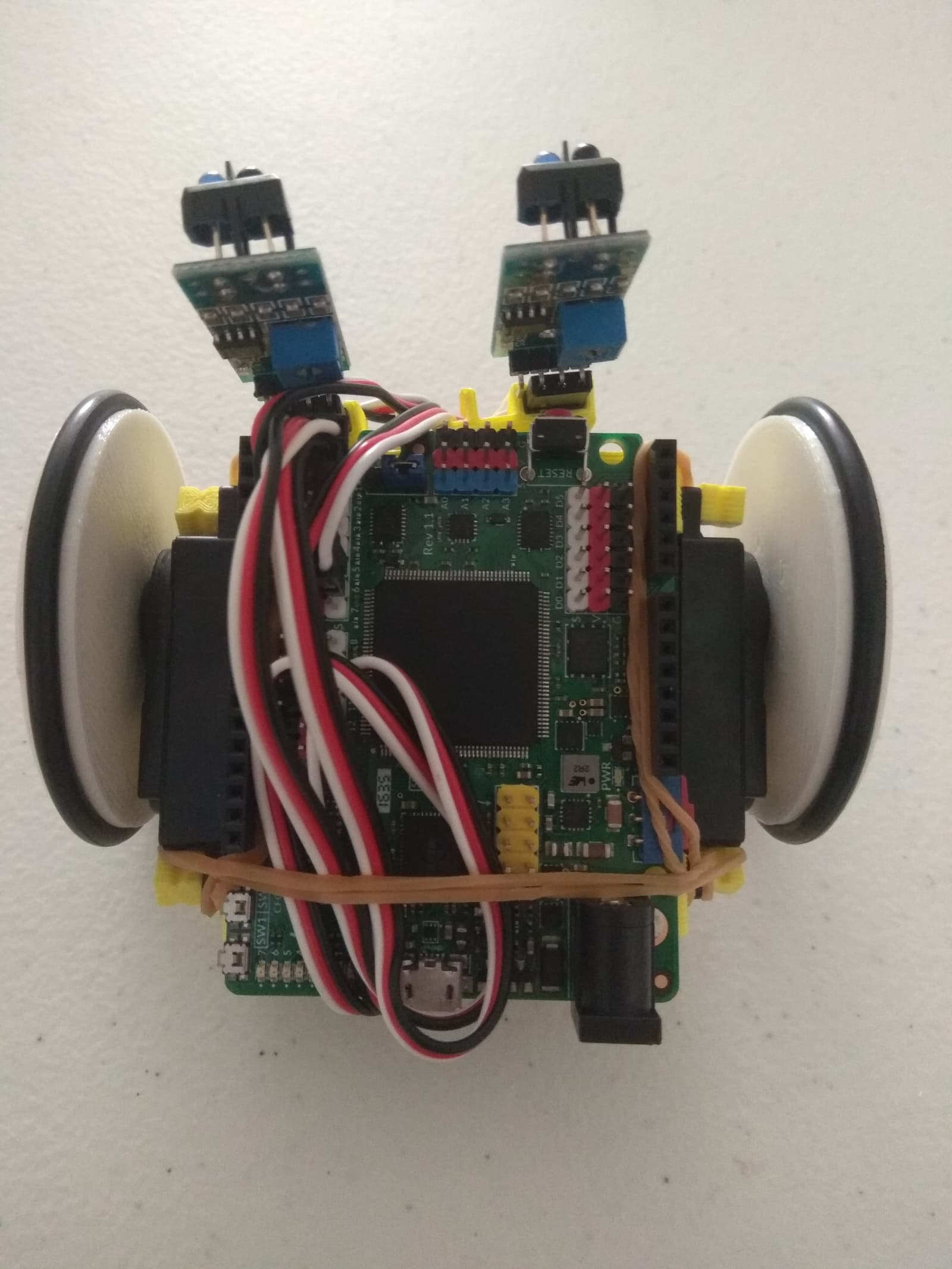 Icebot, photo from its repository