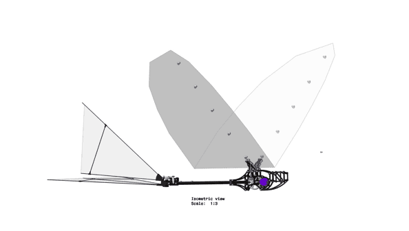 Flapping-Wing-Isometric-view.png