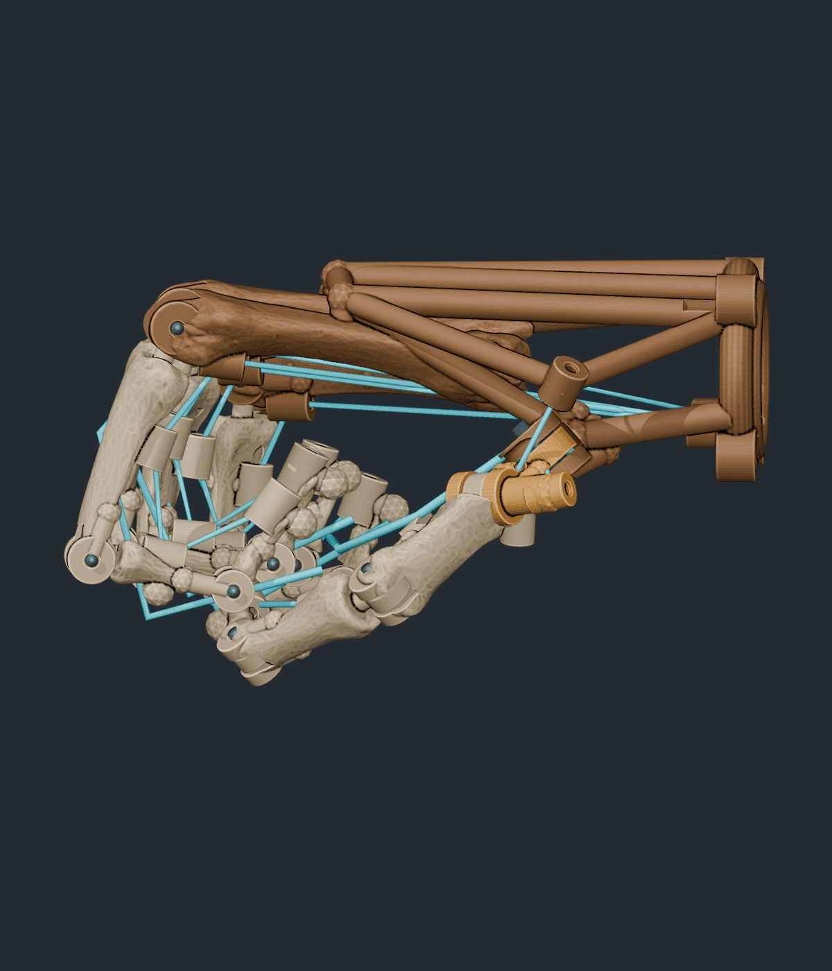 V3_04_Power_Grasp_Side.png