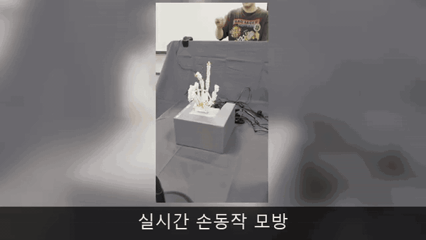 movement-highlights.gif