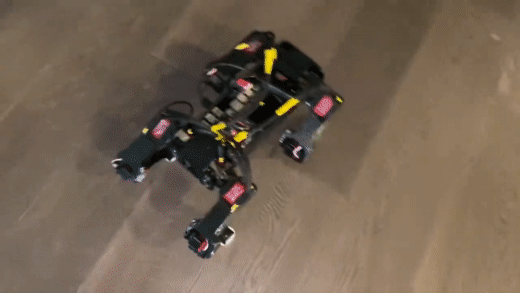 trot_demo.gif