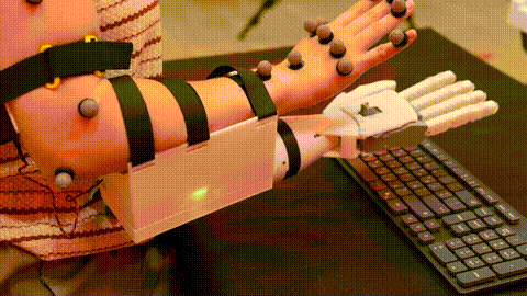 demo.gif