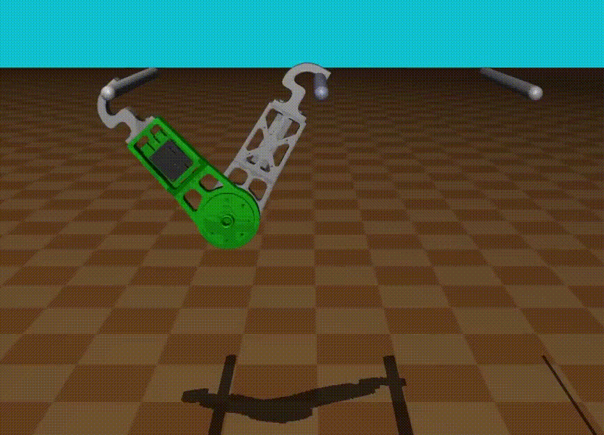 bf_rl.gif