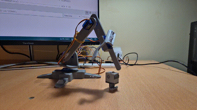 demo.gif