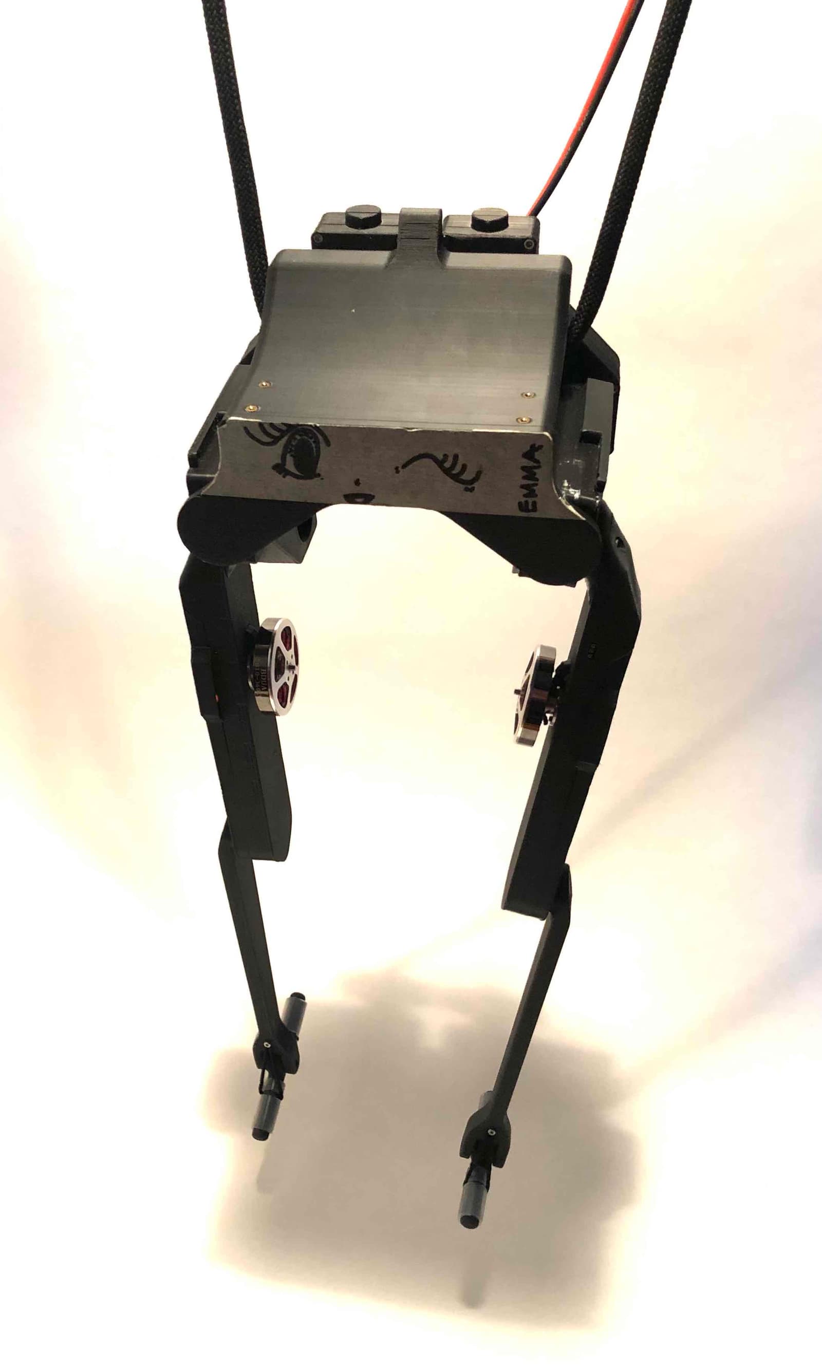 Dagor Biped, photo from its repository