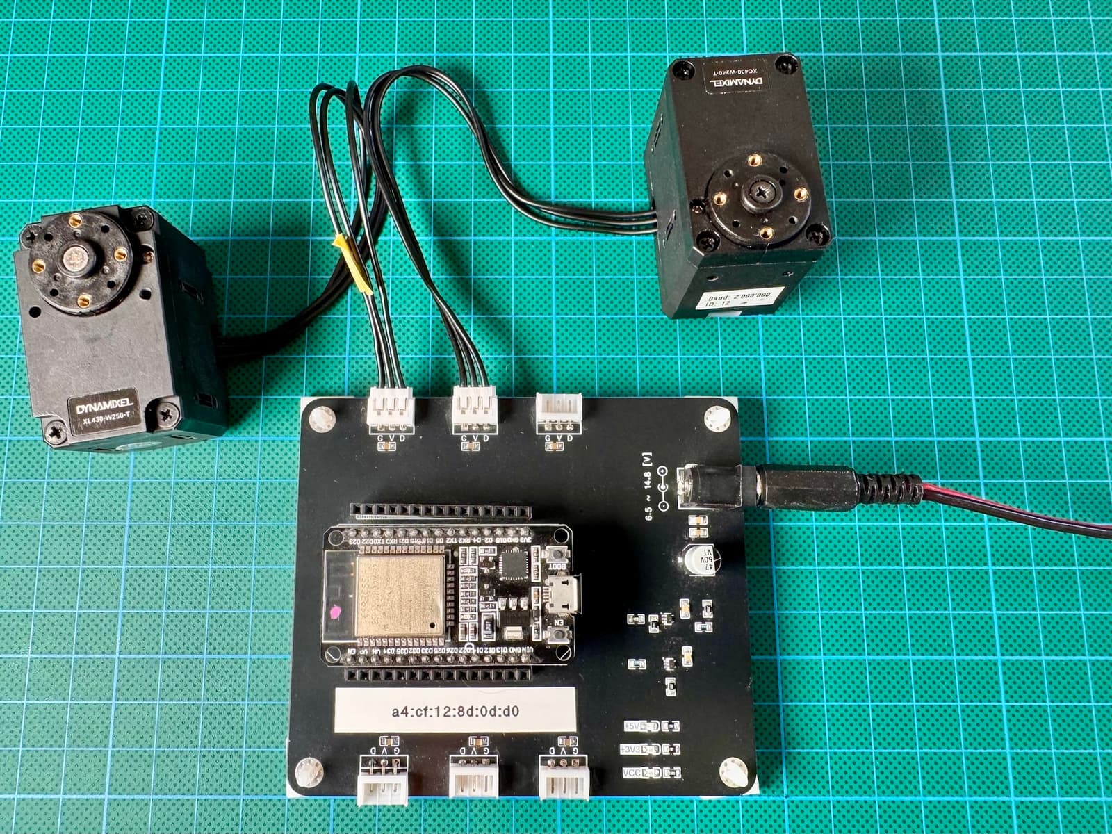 test-harness1.jpg