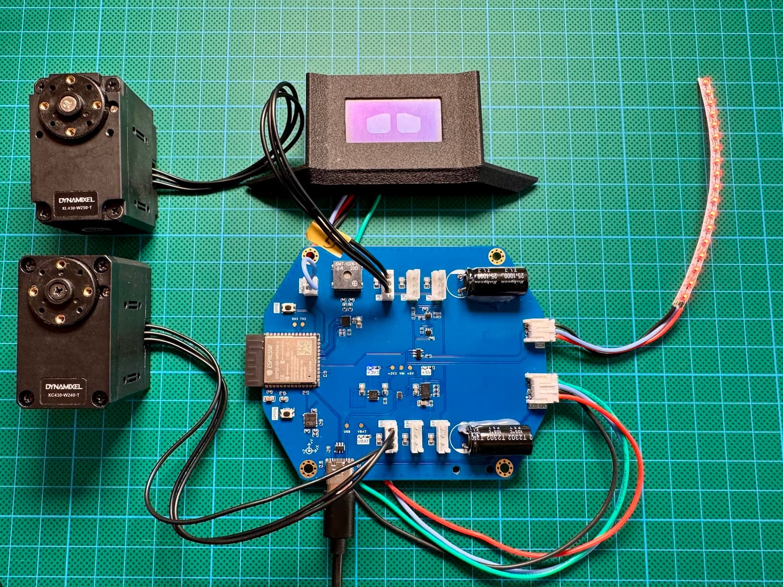 test-harness2.jpg