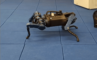 jumpturn.gif