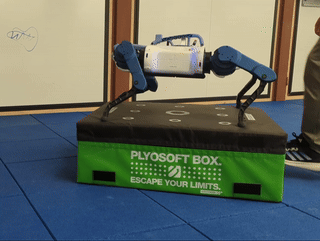 push_compensation.gif