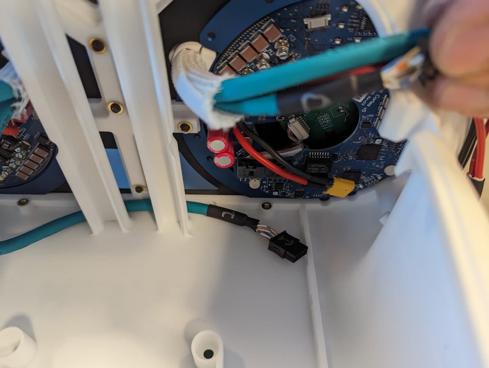 hind_left_wiring1.jpg