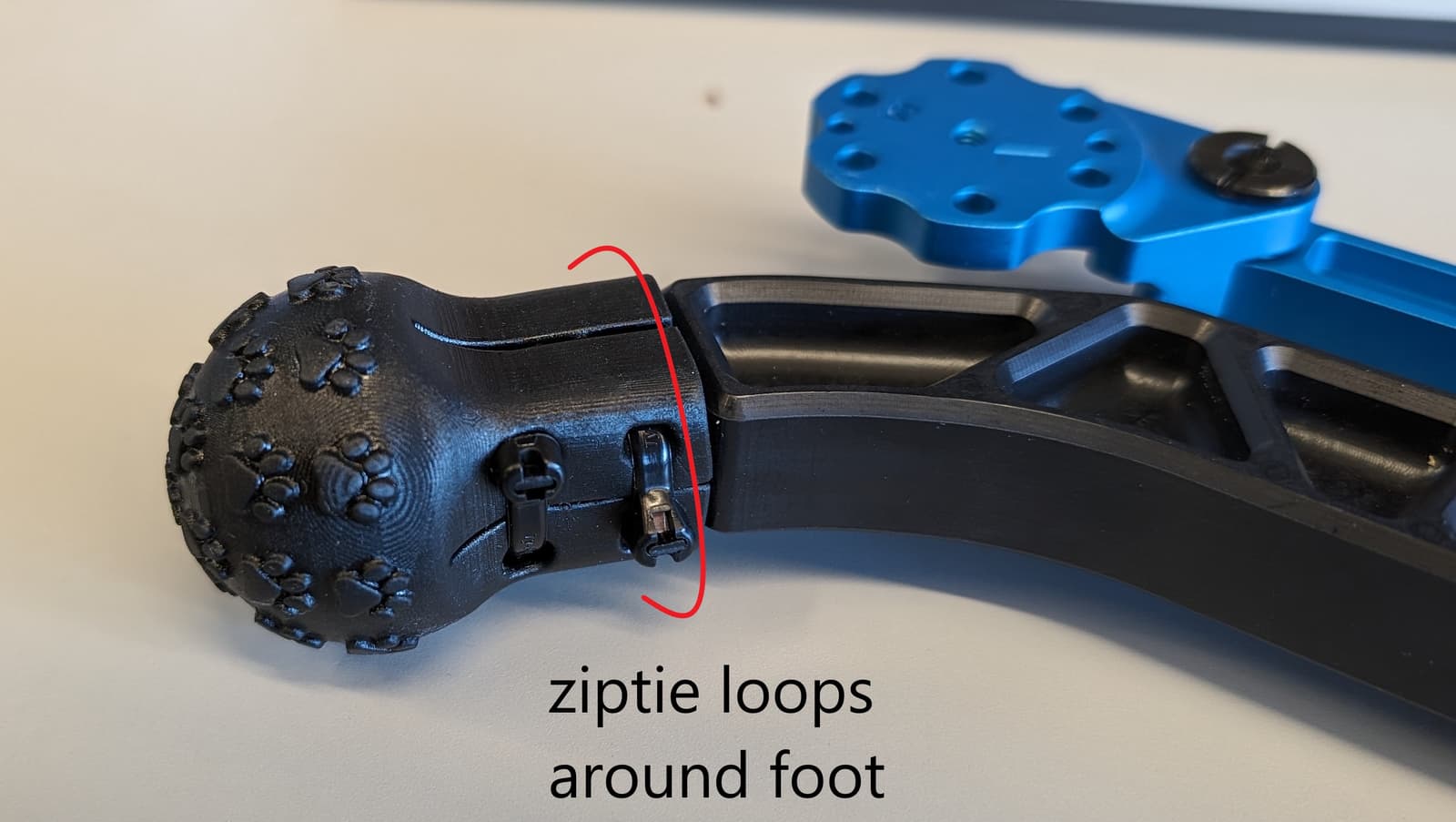 foot_attached.jpg