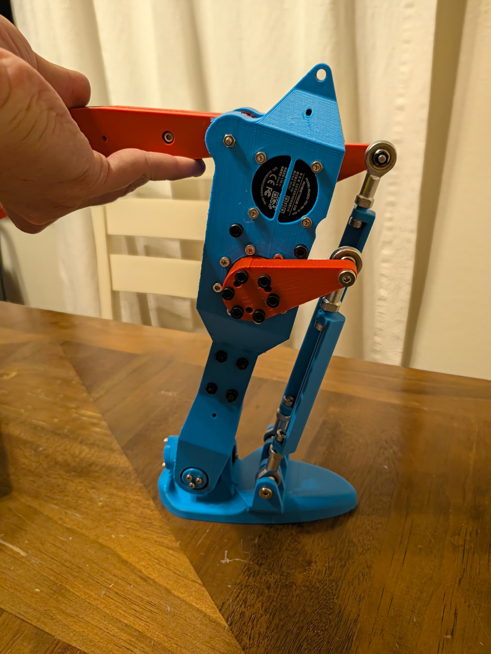 ankle_complete_lower_leg.jpg