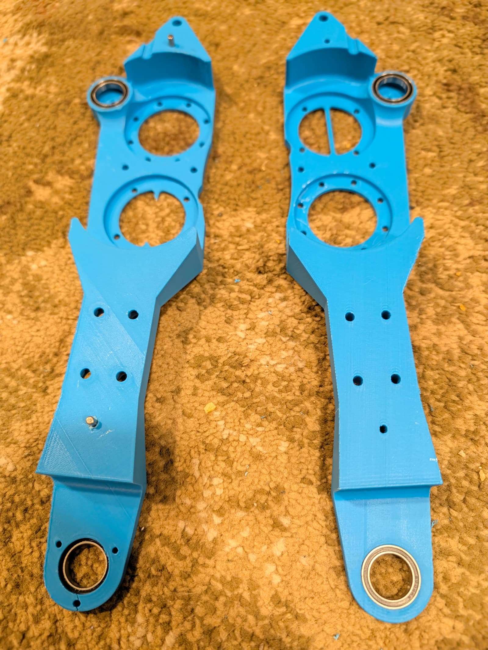 shin_tibia_bearings.jpg
