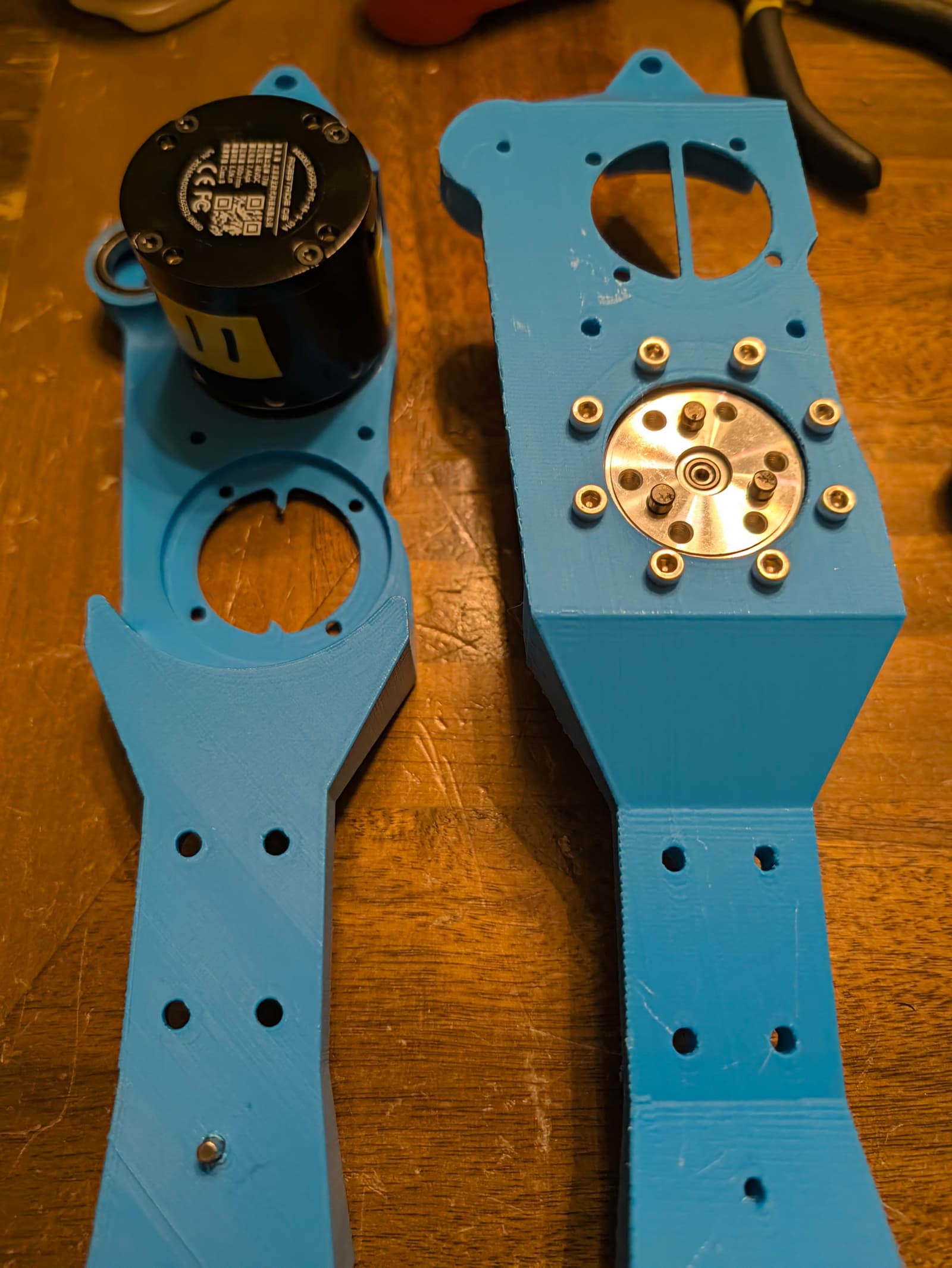 shin_tibia_motors.jpg