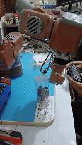 demo_01.gif