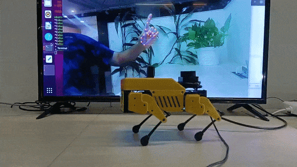 OpenCV.KS.gif