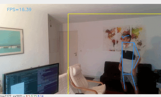 handSignal.gif