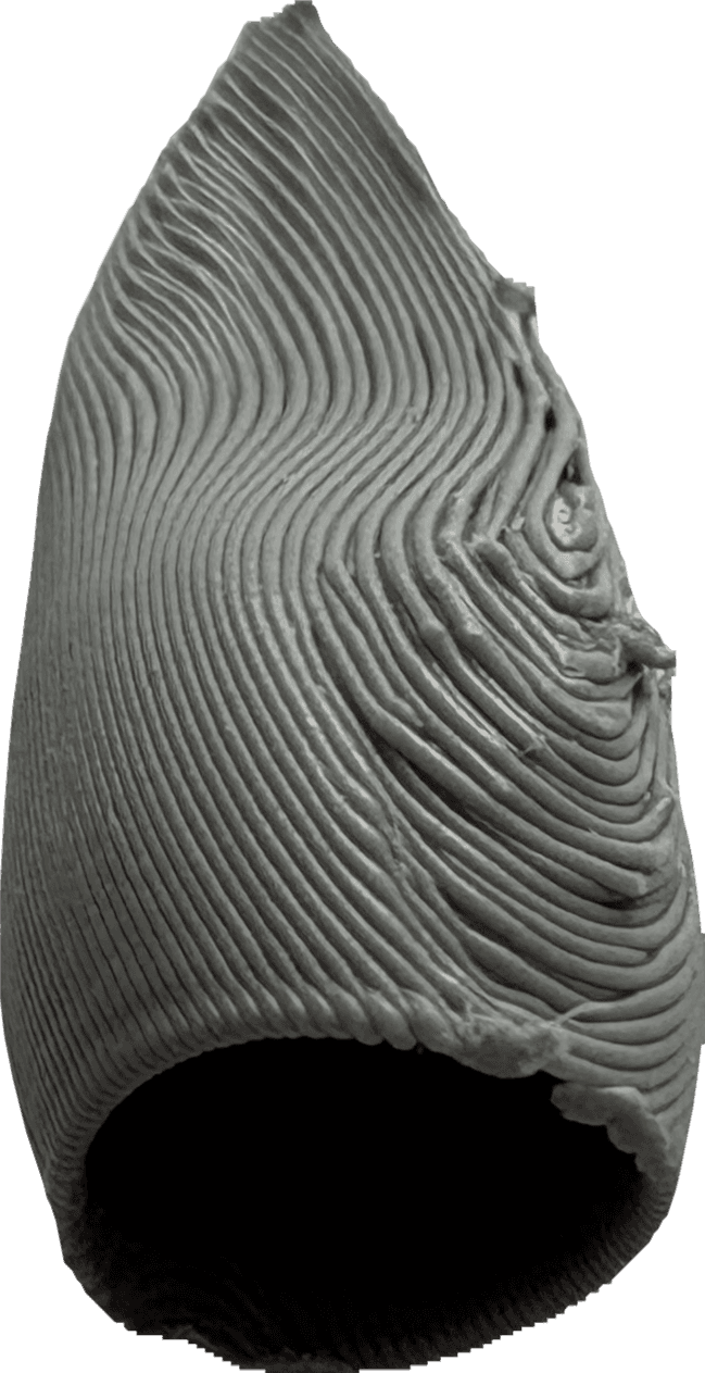 10.png