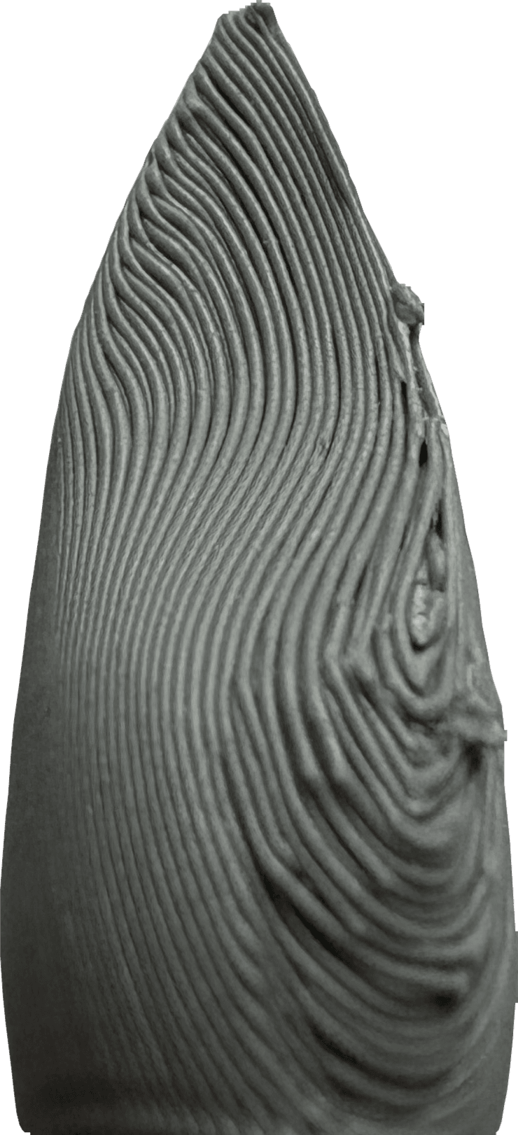 11.png