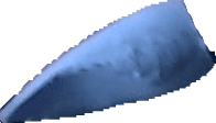 18.png