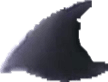21.png