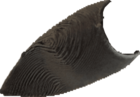 5.png