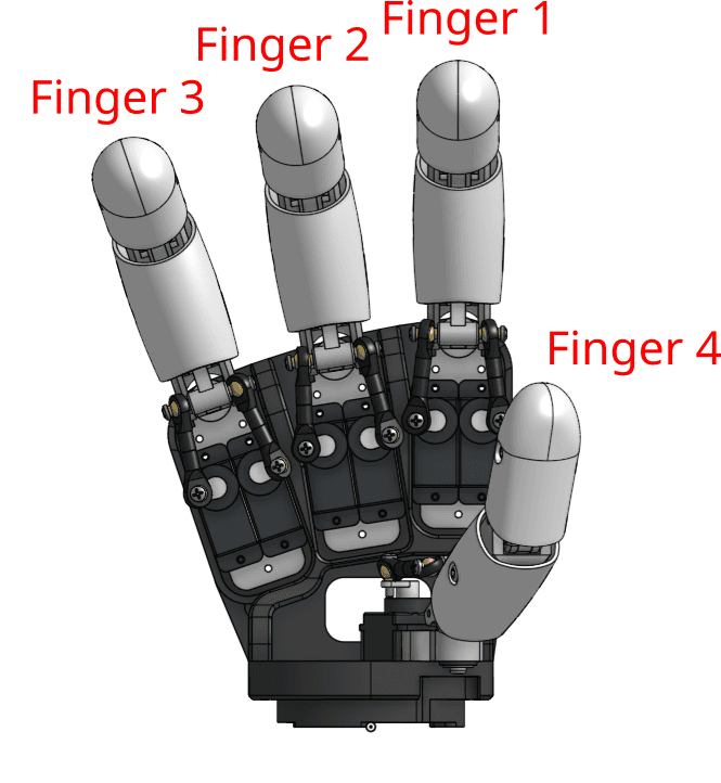 r_hand.png