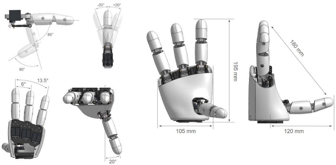 Hand_Overview.jpg