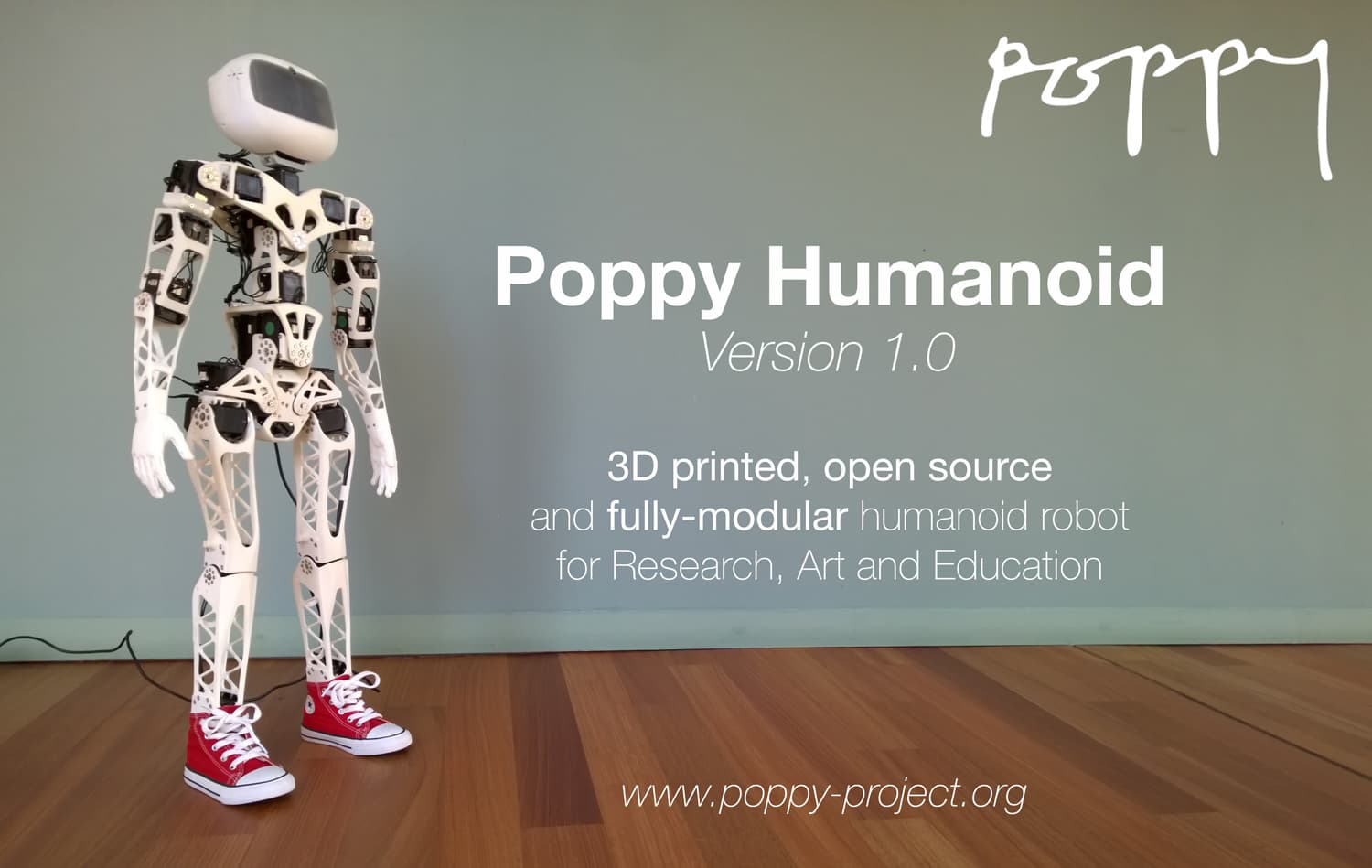 Poppy Humanoid, photo from its repository