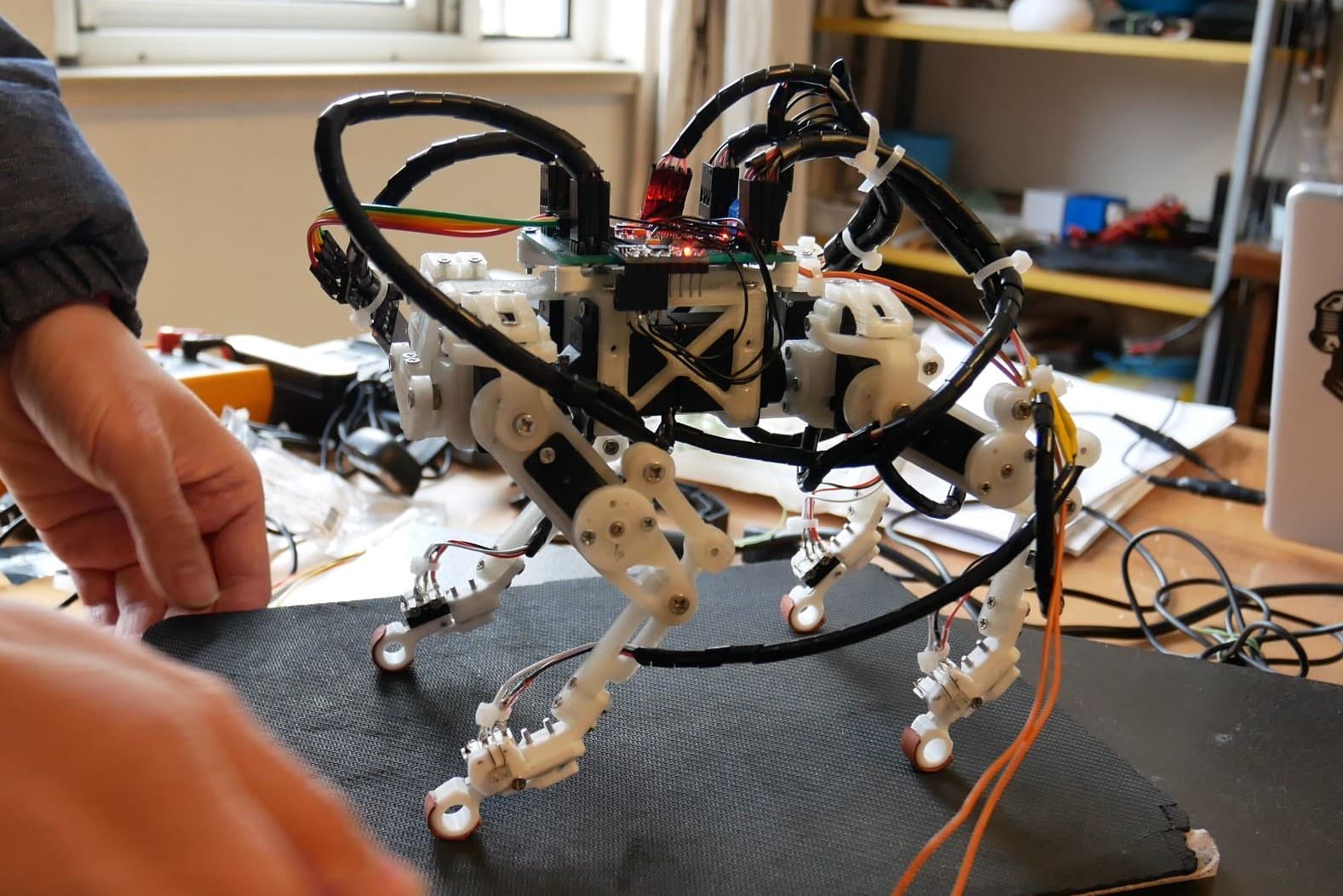 Quadruped Bai Servo v1, photo from its repository