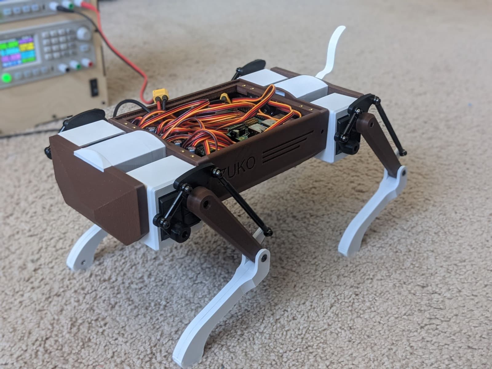 zuko-v1-first-standing-on-power.jpg