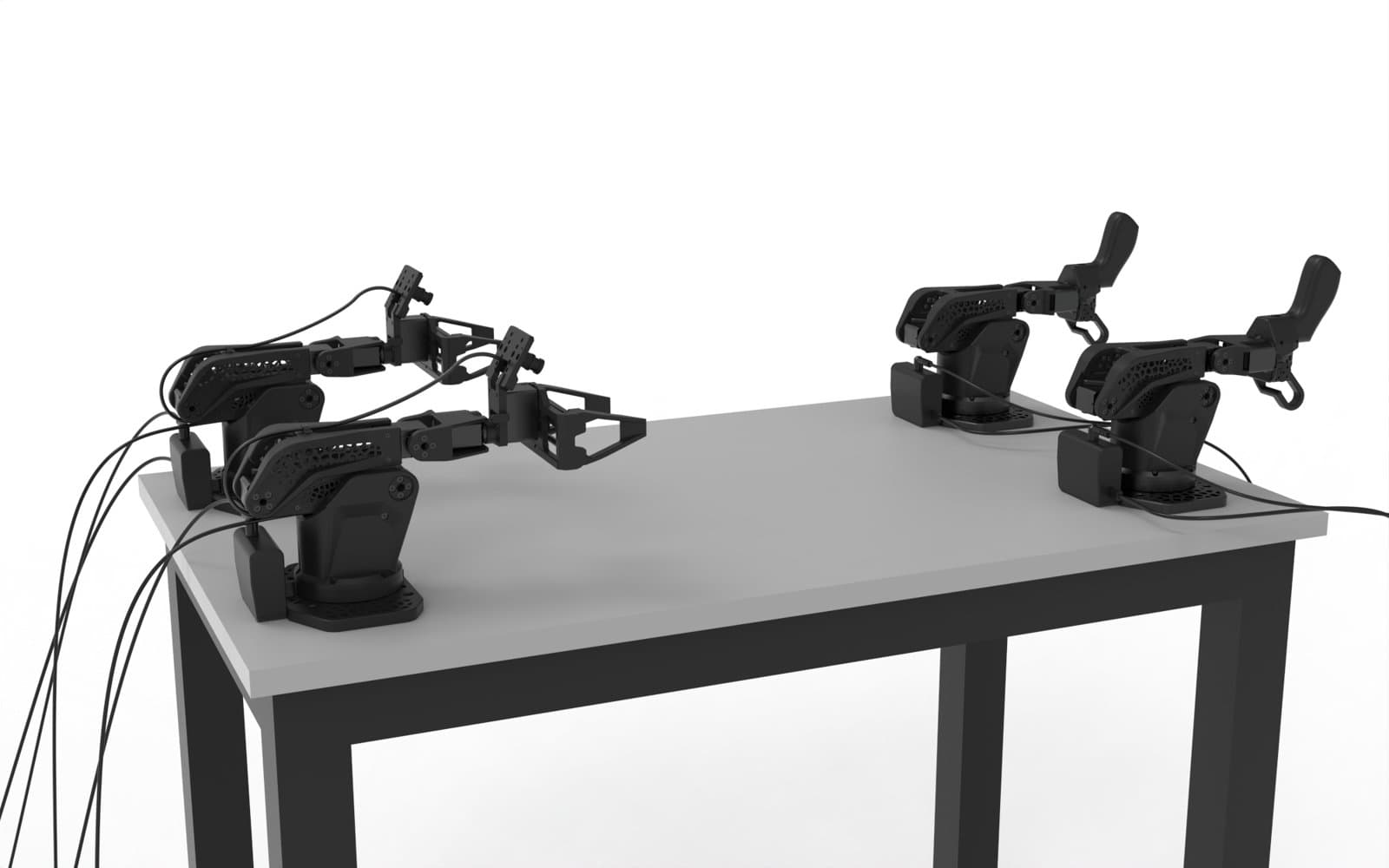 config-dual-arm.jpg