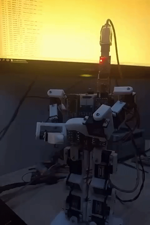 fuckoff-animation.gif