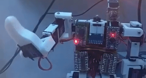 hello-world.gif