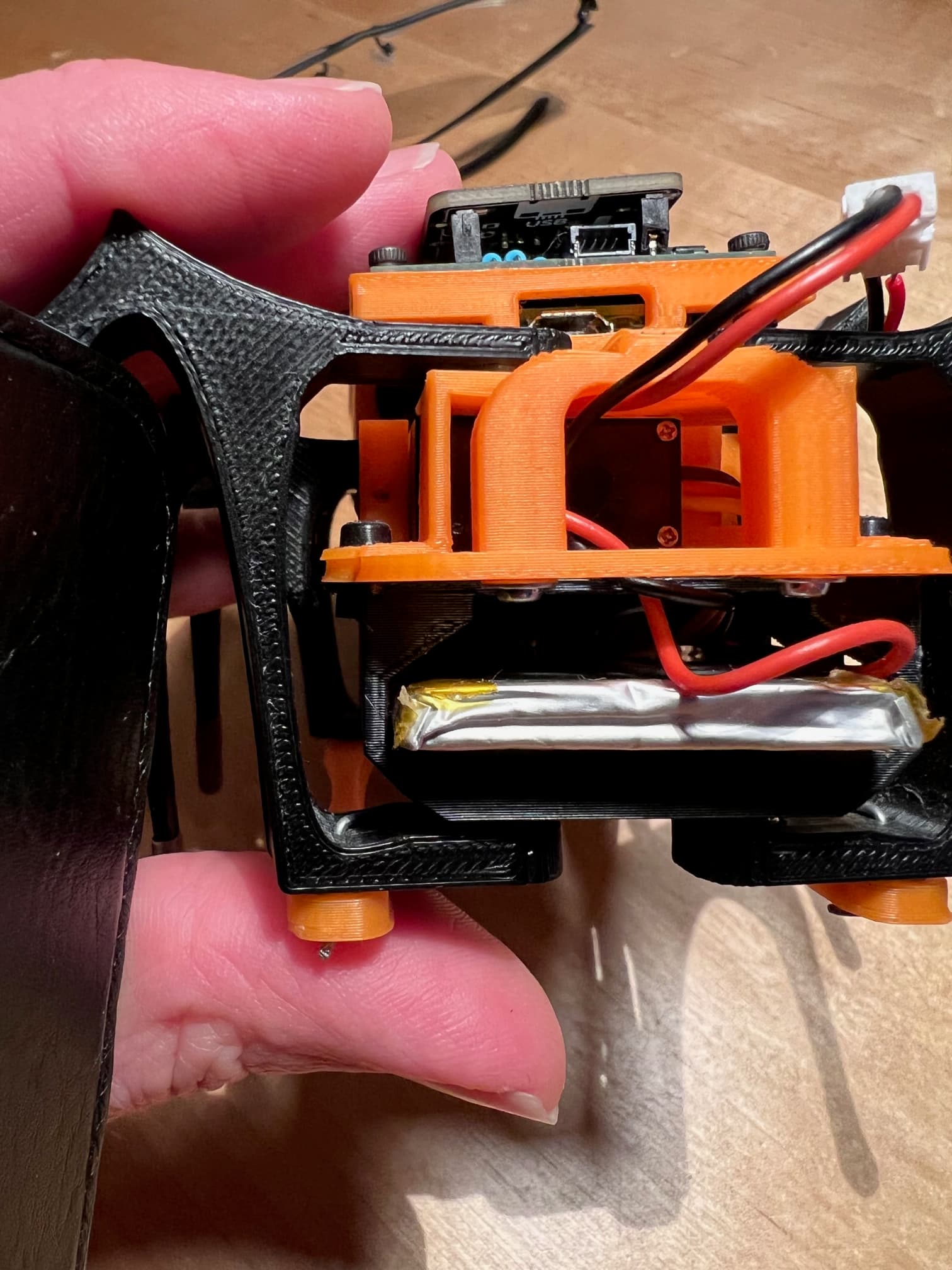 IMG_8247.jpg