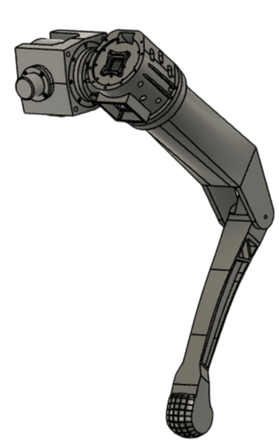 leg_img.png